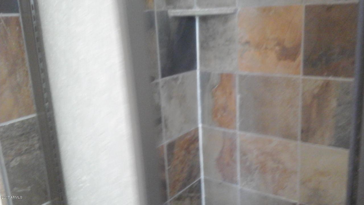 907 West Utopia Road Phoenix, AZ 85027 - Photo 15 of 18 All tile shower