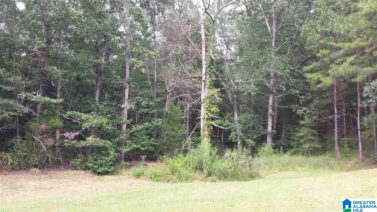 23816 Highway 231 Ragland, AL 35131 - Photo 28 of 36 Gallery Image 28