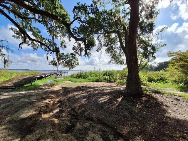 a view of a pathway both side of yard