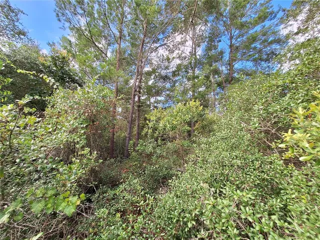 a view of outdoor space and trees all around