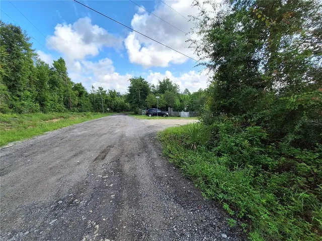 a view of a yard with plants and a tree