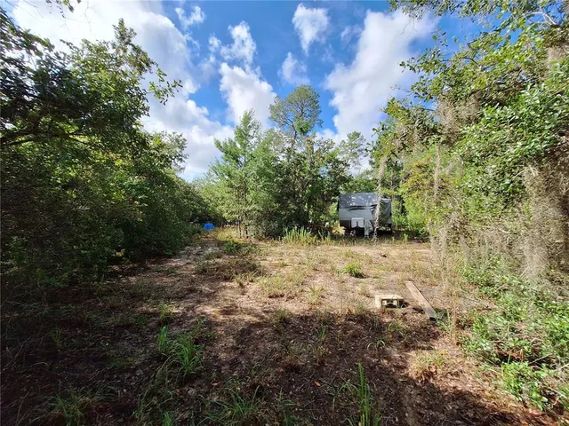 a view of a yard with plants and trees