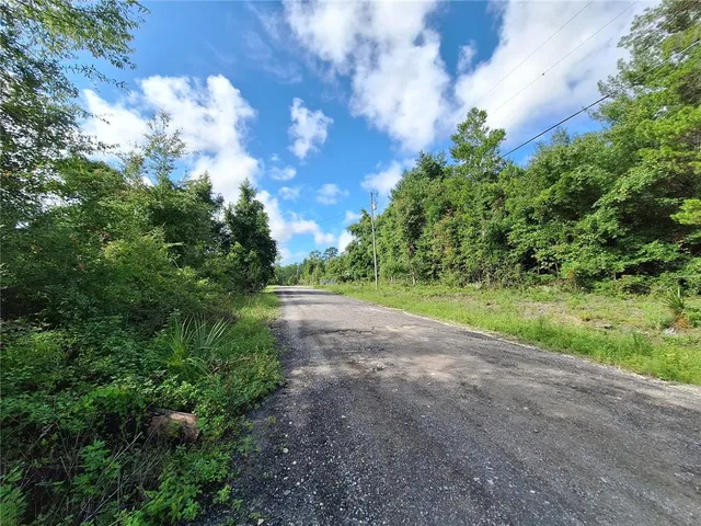 a view of a yard with plants and a trees