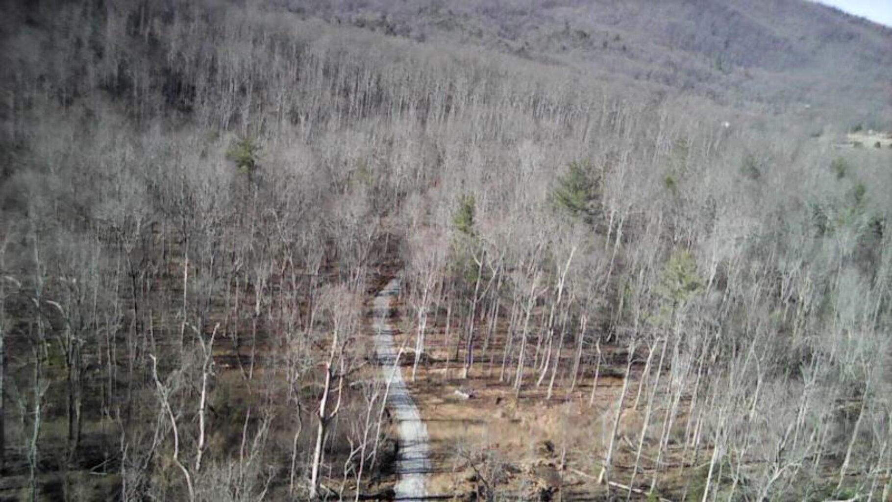 Lot 3 Meadors Mill Road Bedford, VA 24523 - Photo 3 of 4 wooded