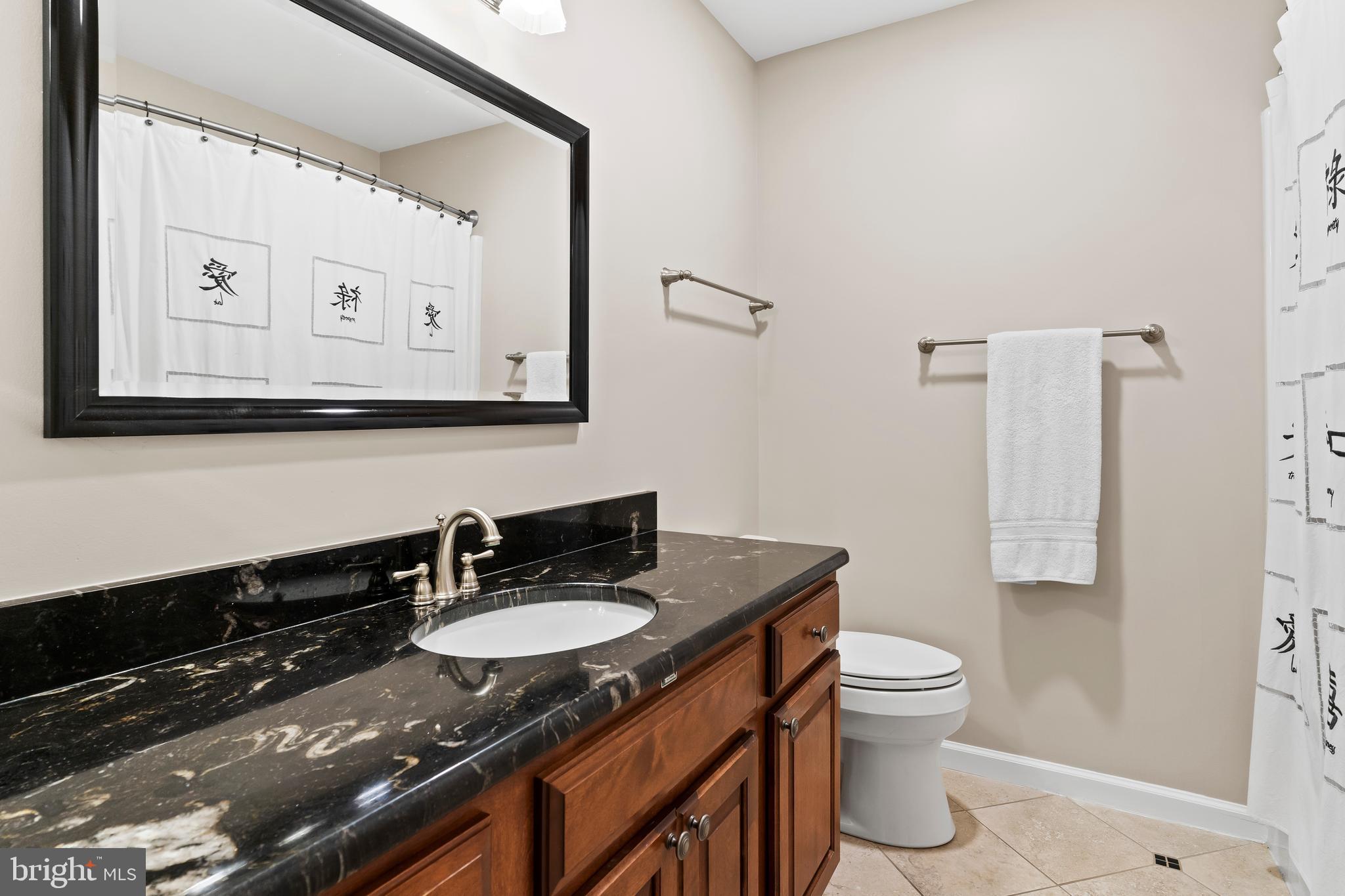 13 Todd Road Carlisle, PA 17013 - Photo 40 of 46 a bathroom with a granite countertop sink a toilet and mirror