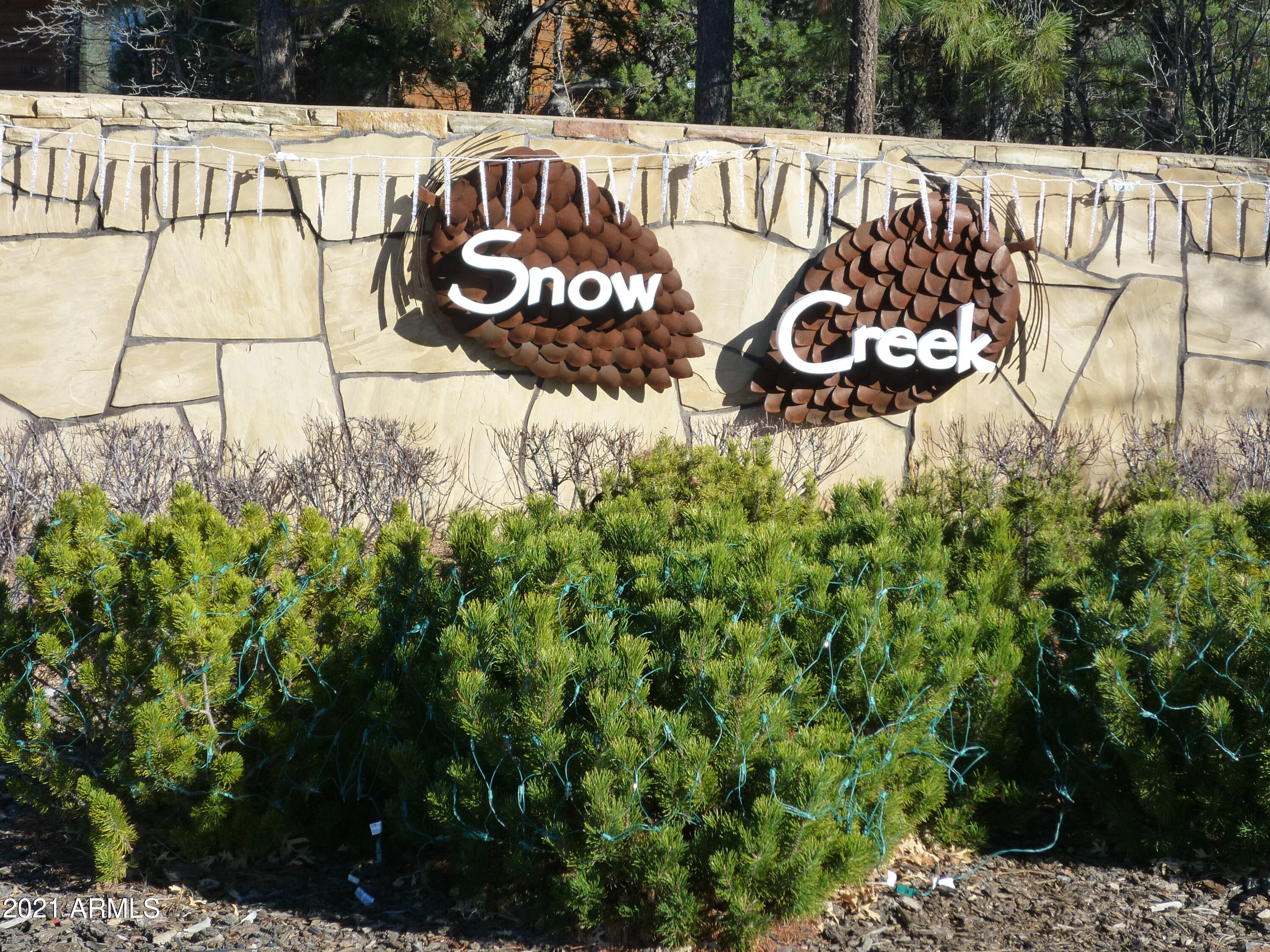 2131 South Snowy Ridge Loop, Unit 169 Show Low, AZ 85901 - Photo 11 of 11 Entrance