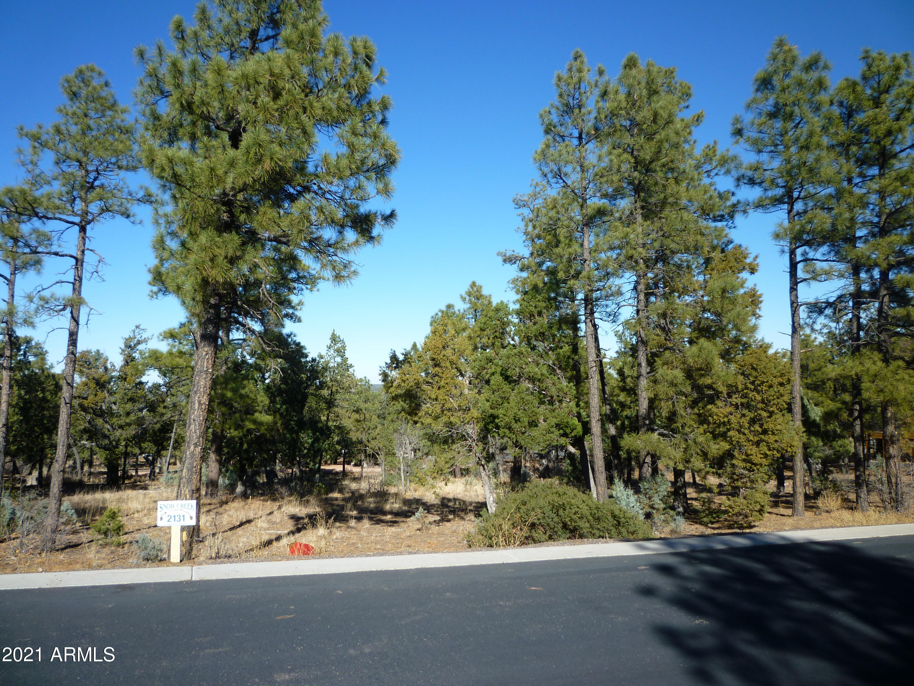 2131 South Snowy Ridge Loop, Unit 169 Show Low, AZ 85901 - Photo 3 of 11 LONG VIEWS