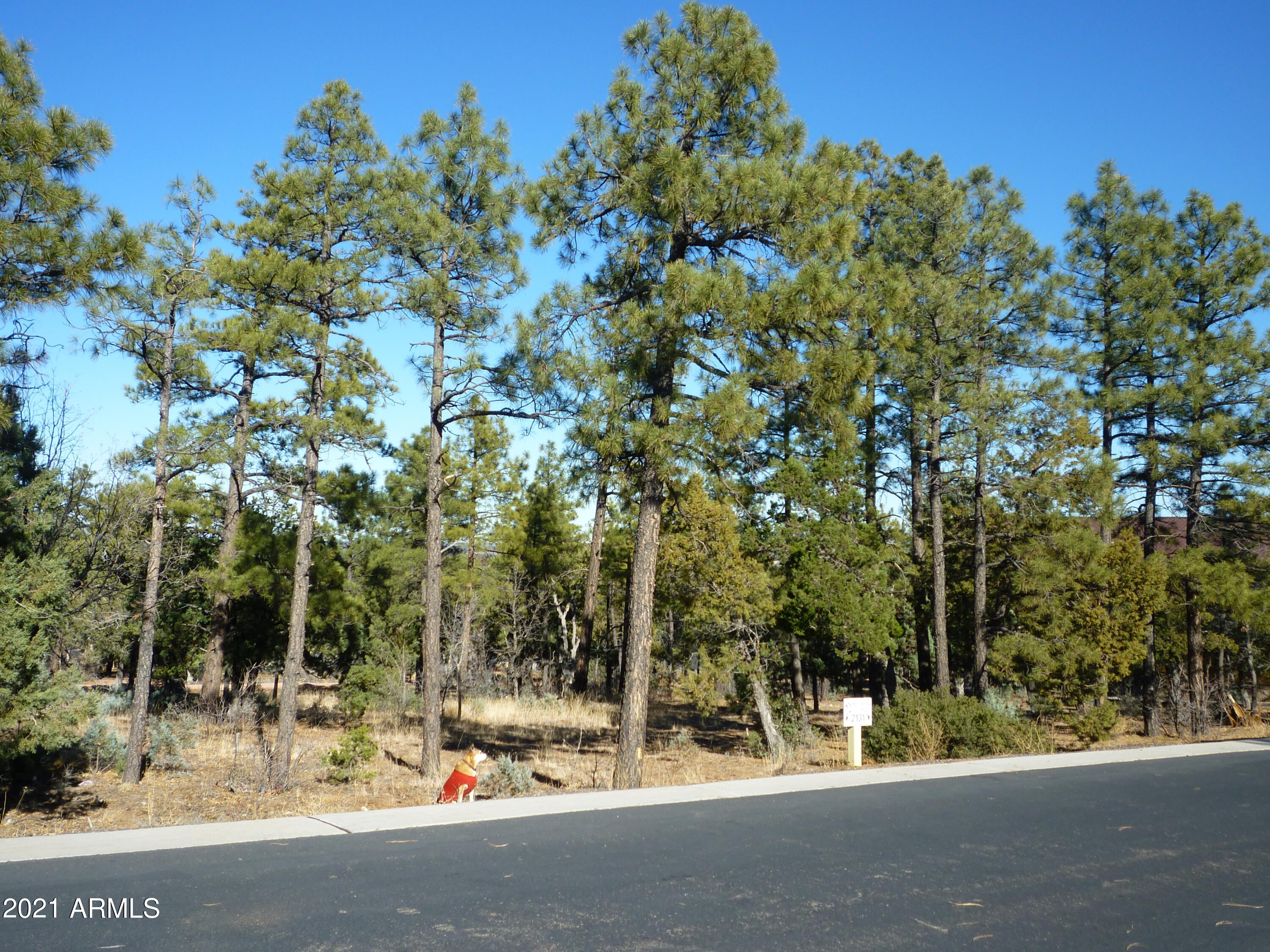 2131 South Snowy Ridge Loop, Unit 169 Show Low, AZ 85901 - Photo 7 of 11 2131 Snowy Ridge