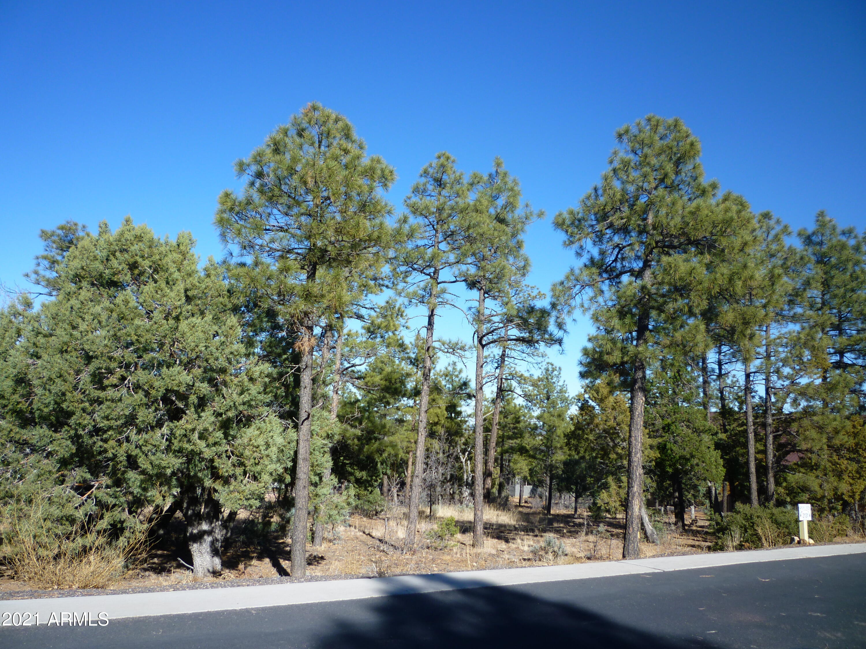 2131 South Snowy Ridge Loop, Unit 169 Show Low, AZ 85901 - Photo 8 of 11 2131 Snowy Ridge
