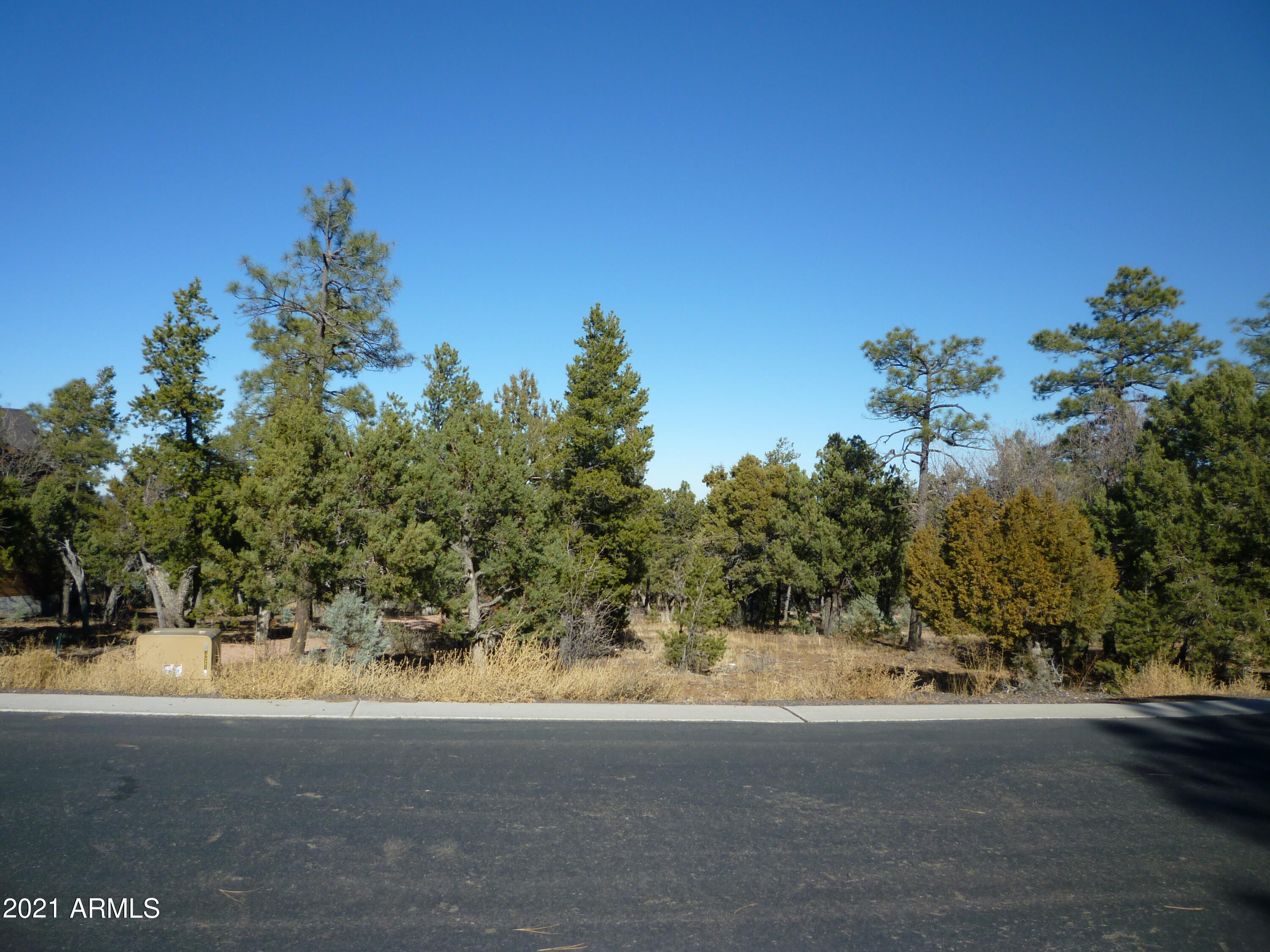 2131 South Snowy Ridge Loop, Unit 169 Show Low, AZ 85901 - Photo 9 of 11 2131 Snowy Ridge