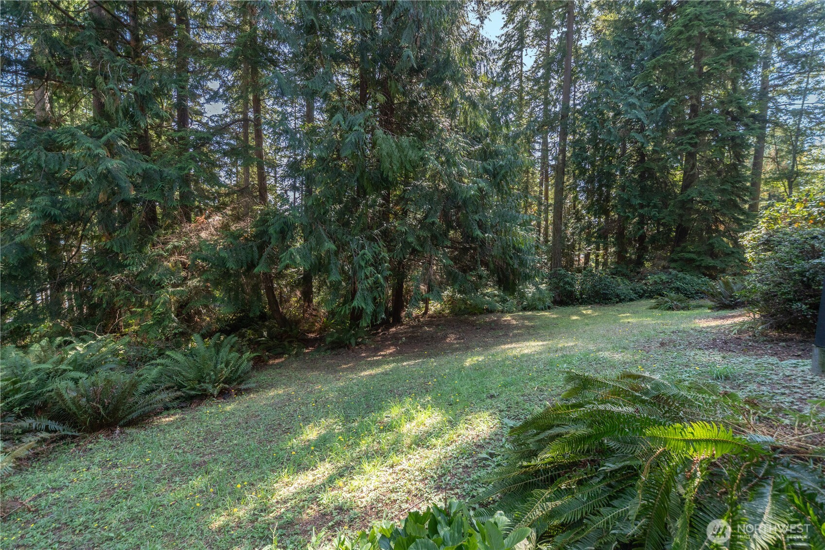 91 Drew Lane Port Ludlow, WA 98365 - Photo 35 of 38 a big yard with lots of green space and deers