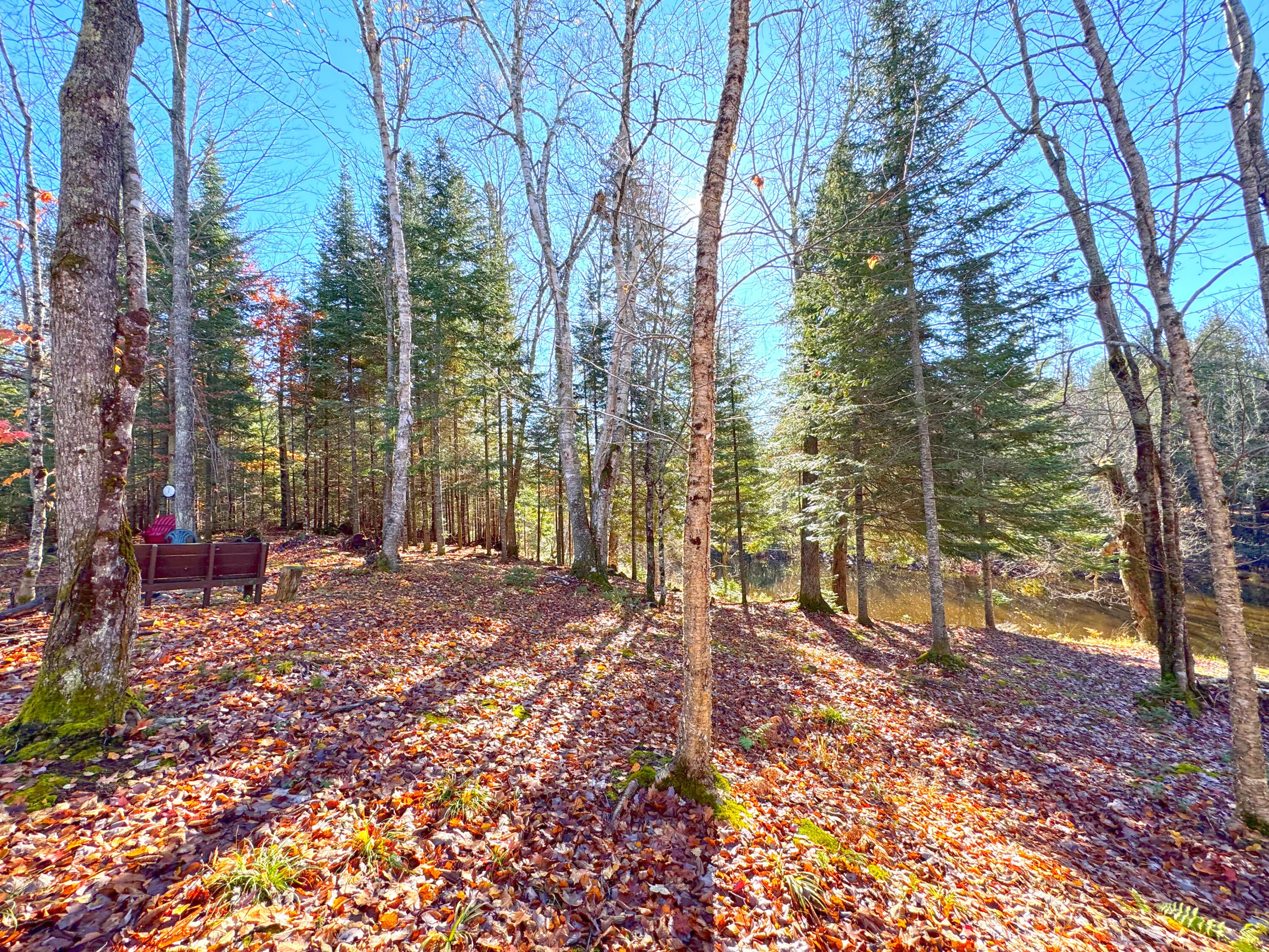 4800 South North Hulbert Road Eckerman, MI 49728 - Photo 16 of 40 Gallery Image 16
