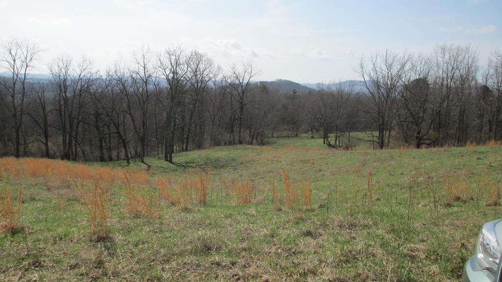 Tbd Forest Ridge Road Independence, VA 24348 - Photo 1 of 12 Gallery Image 1