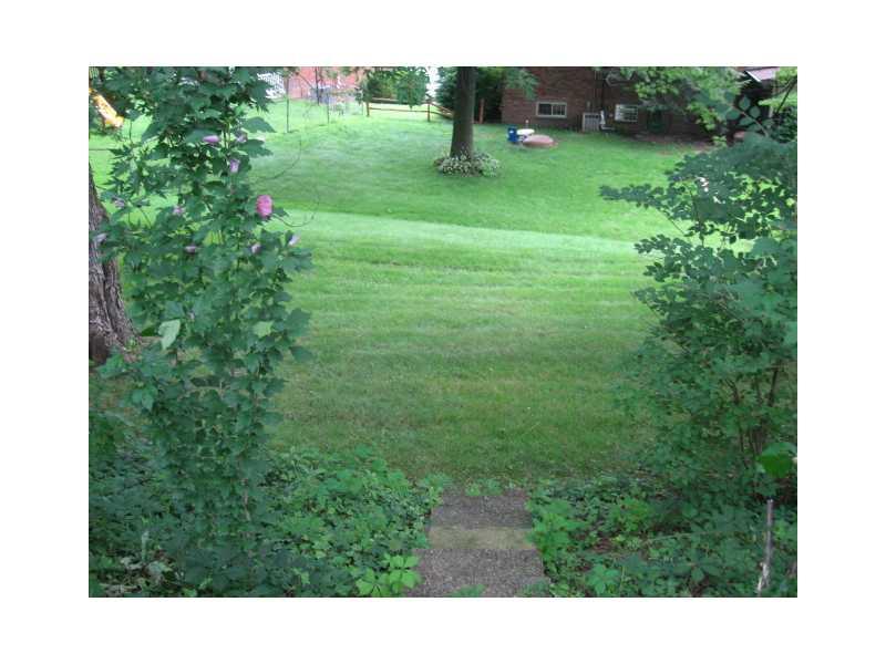 2406 Haymaker Road Monroeville, PA 15146 - Photo 22 of 25 Yard/Garden. Steps lead to lower level yard