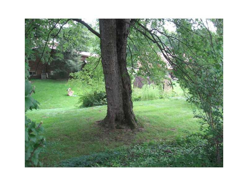 2406 Haymaker Road Monroeville, PA 15146 - Photo 23 of 25 Yard/Garden.