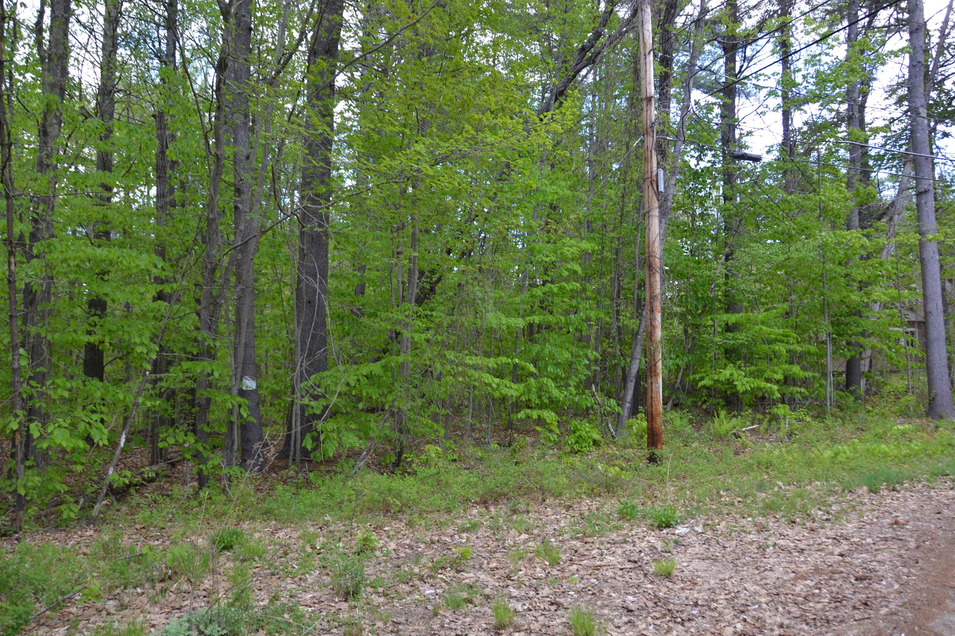 Winterhaven Road Wolfeboro, NH 03894 - Photo 3 of 4 Gallery Image 3