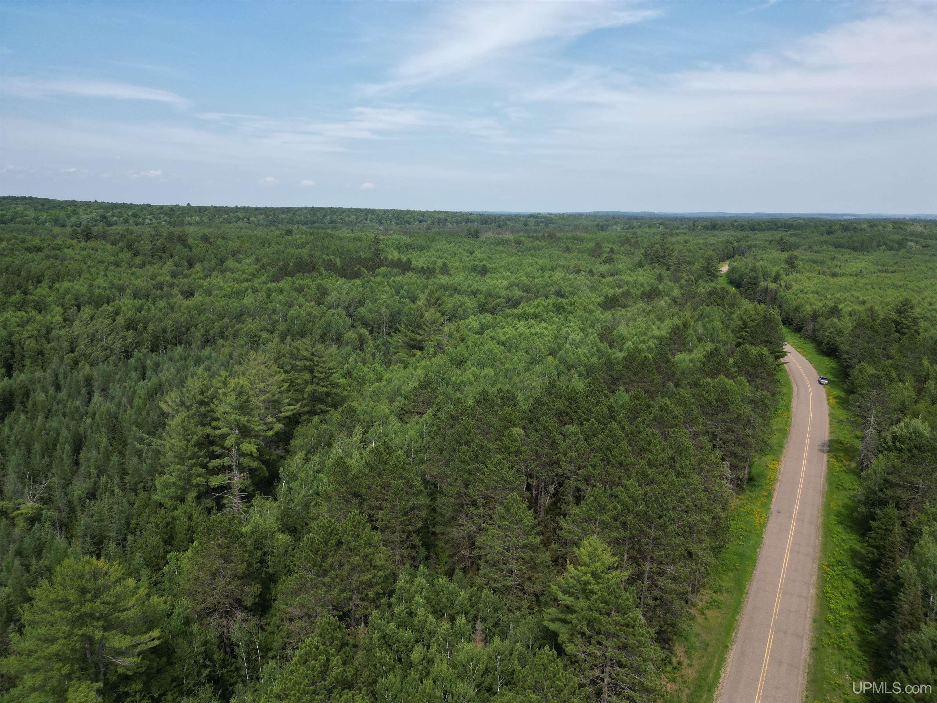 Tbd Leeman Road Felch, MI 49831 - Photo 76 of 84 Gallery Image 76