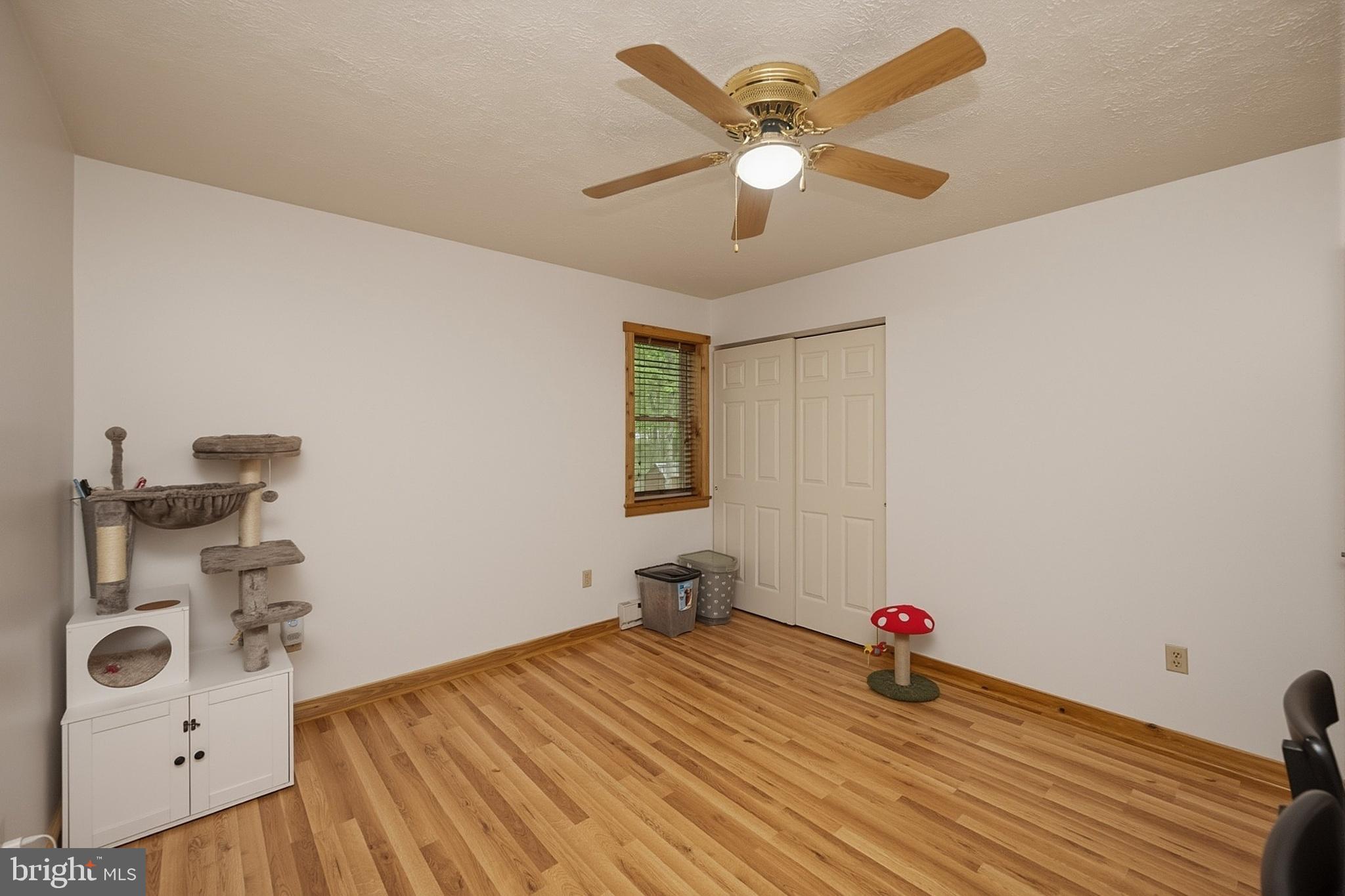 254 Little Mountain Road Oakland, MD 21550 - Photo 33 of 53