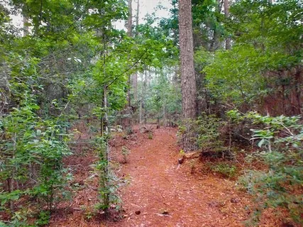 $455,000 | 1004 Cypress Crossing Drive, Madisonville, LA 70447