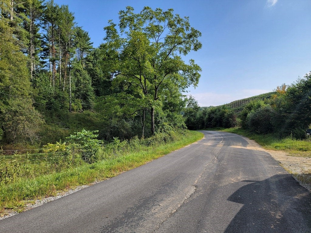 Tbd York Ridge Road Mouth Of Wilson, VA 24363 - Photo 5 of 28 Gallery Image 5