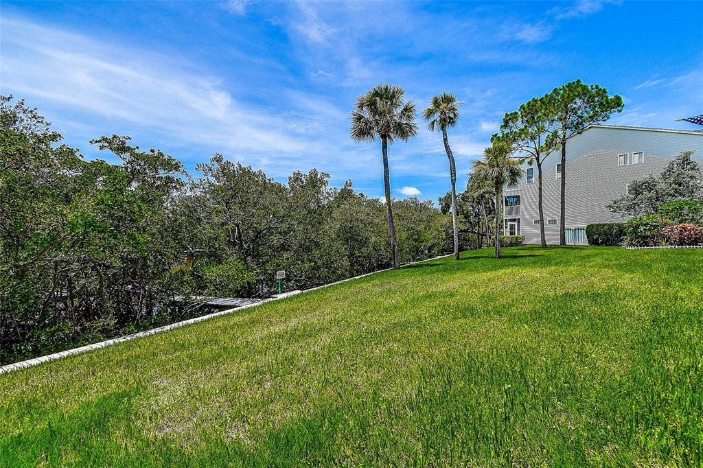 14865 Seminole Trail Seminole, FL 33776 - Photo 44 of 54 a view of a yard with palm trees