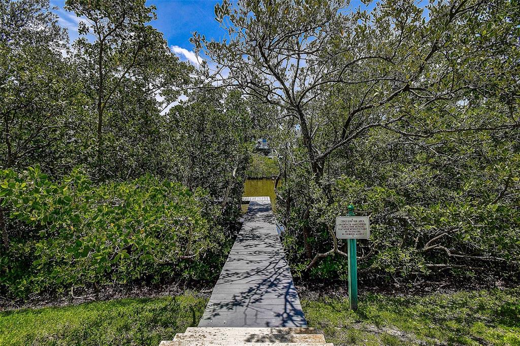 14865 Seminole Trail Seminole, FL 33776 - Photo 45 of 54 a picture of a tree