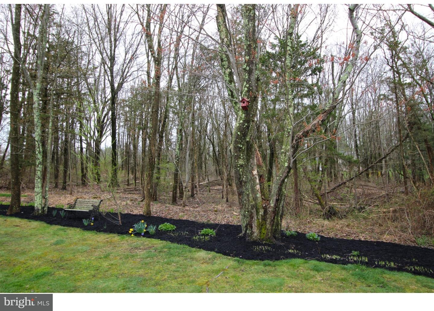 228 Clump Road Green Lane, PA 18054 - Photo 25 of 25 Back Yard