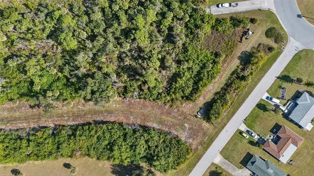 view of a yard with plants