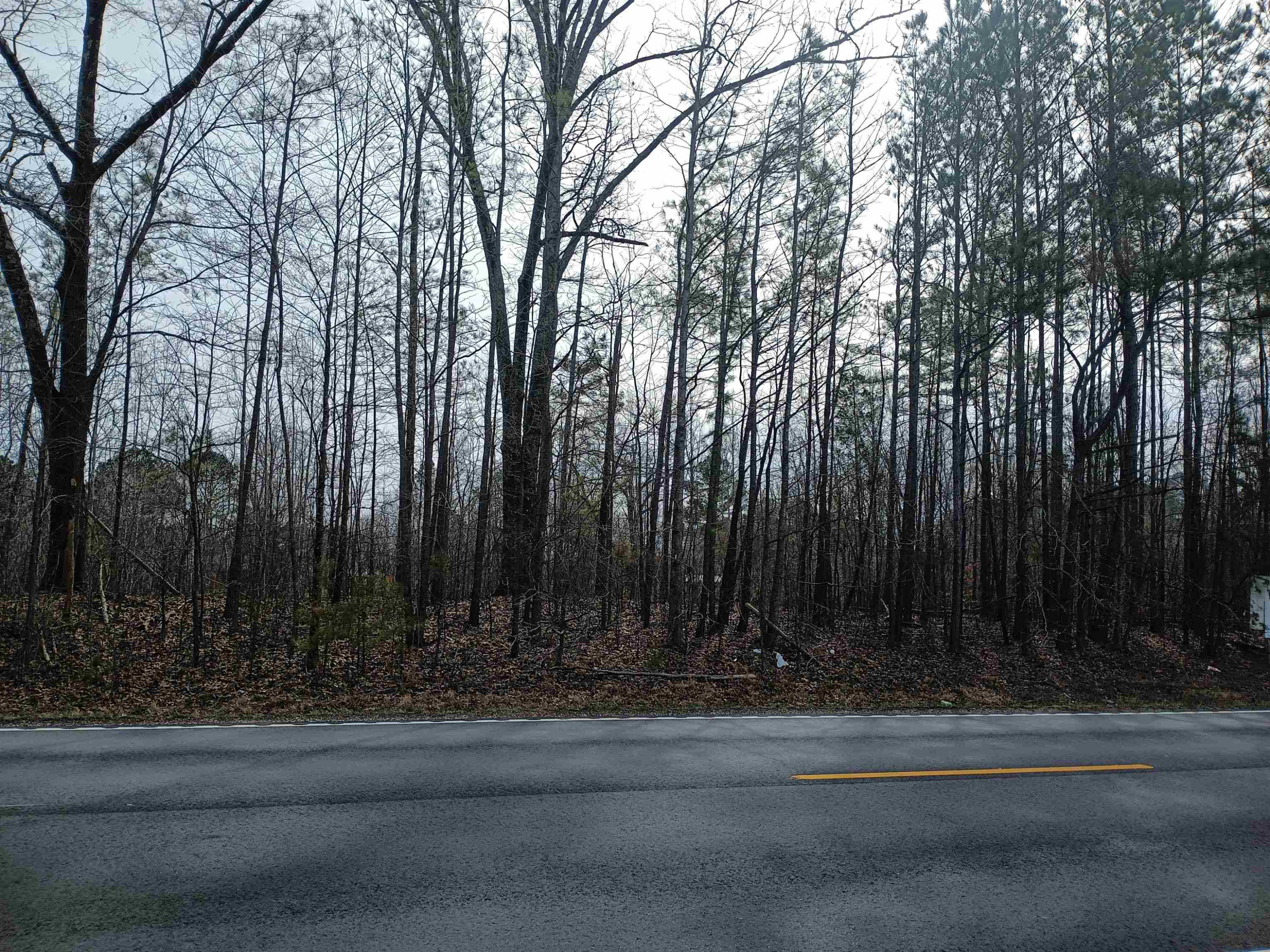 0 Highway 18 Toone, TN 38381 - Photo 5 of 10 a view of backyard with green space