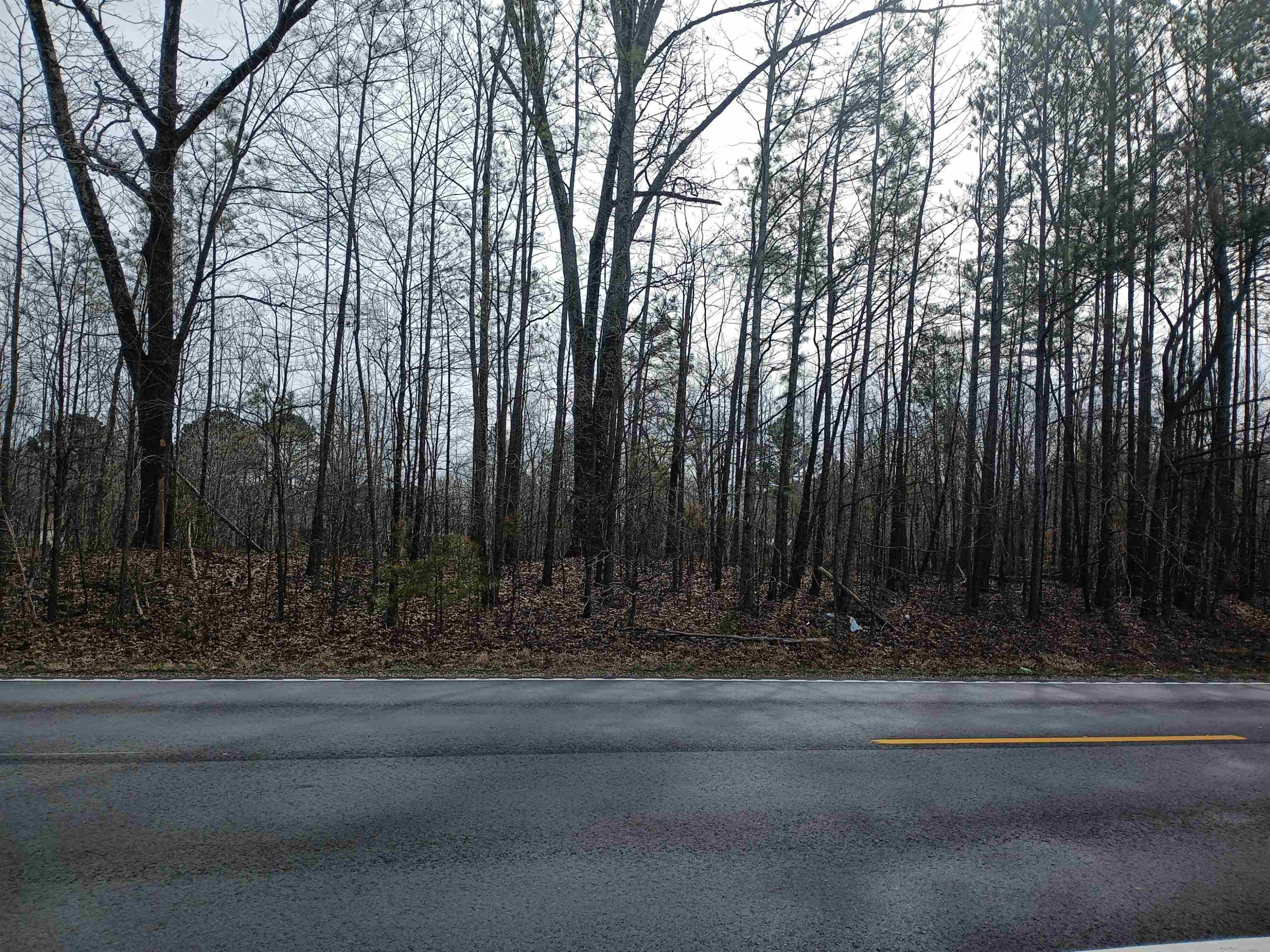 0 Highway 18 Toone, TN 38381 - Photo 6 of 10 a view of a yard with large trees