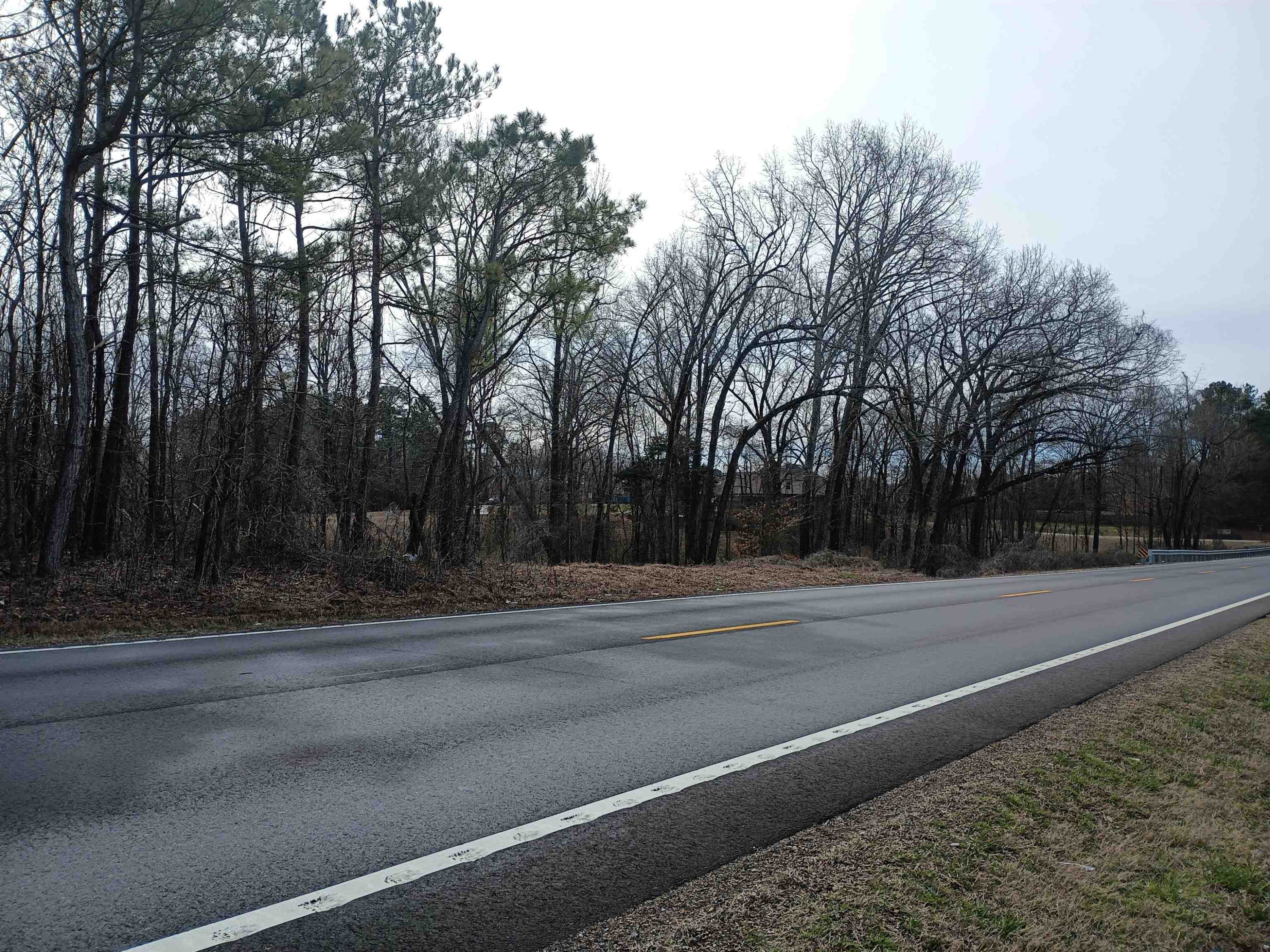 0 Highway 18 Toone, TN 38381 - Photo 7 of 10 a view of a yard with large trees