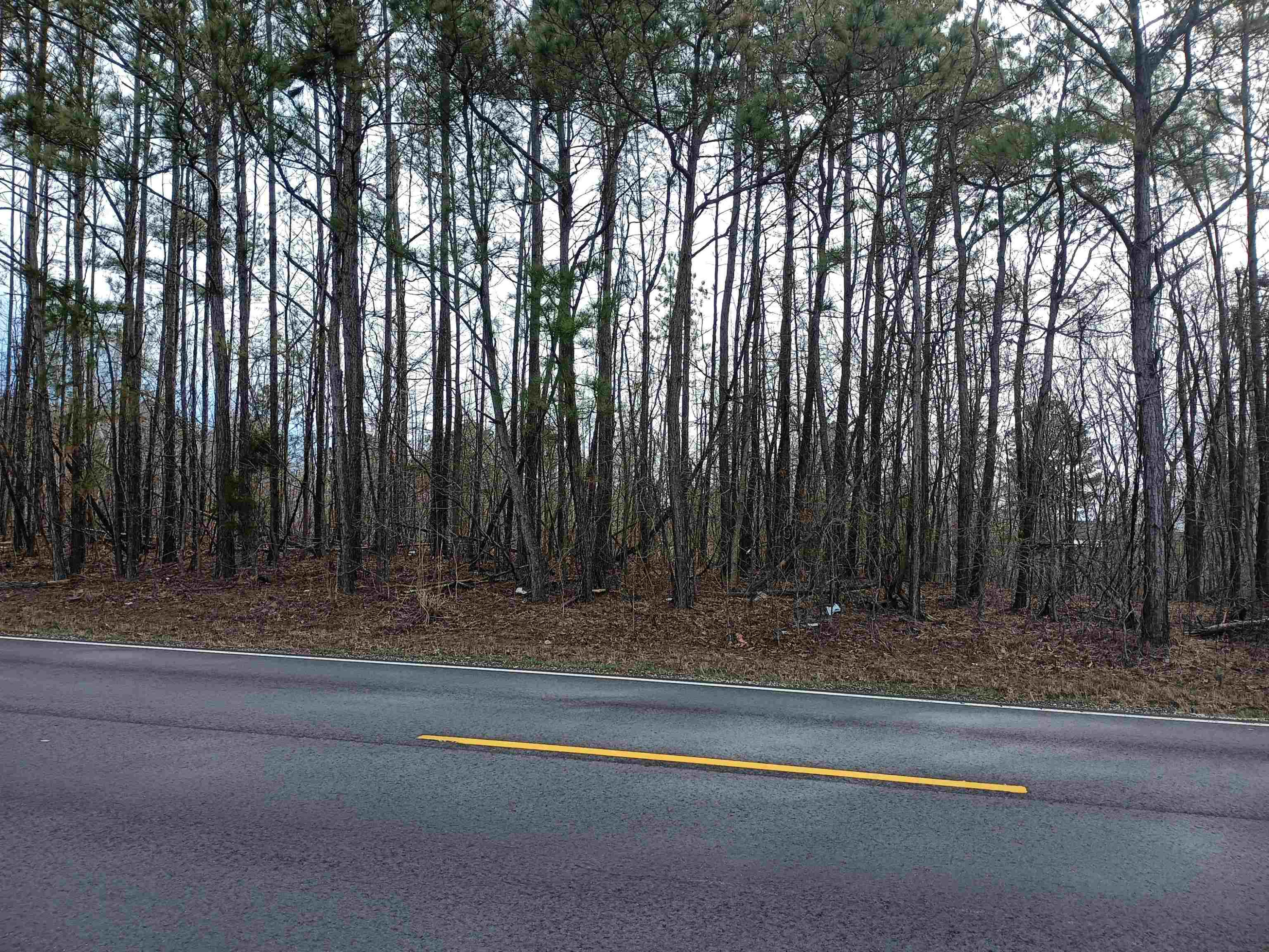 0 Highway 18 Toone, TN 38381 - Photo 8 of 10 a view of a yard with large trees