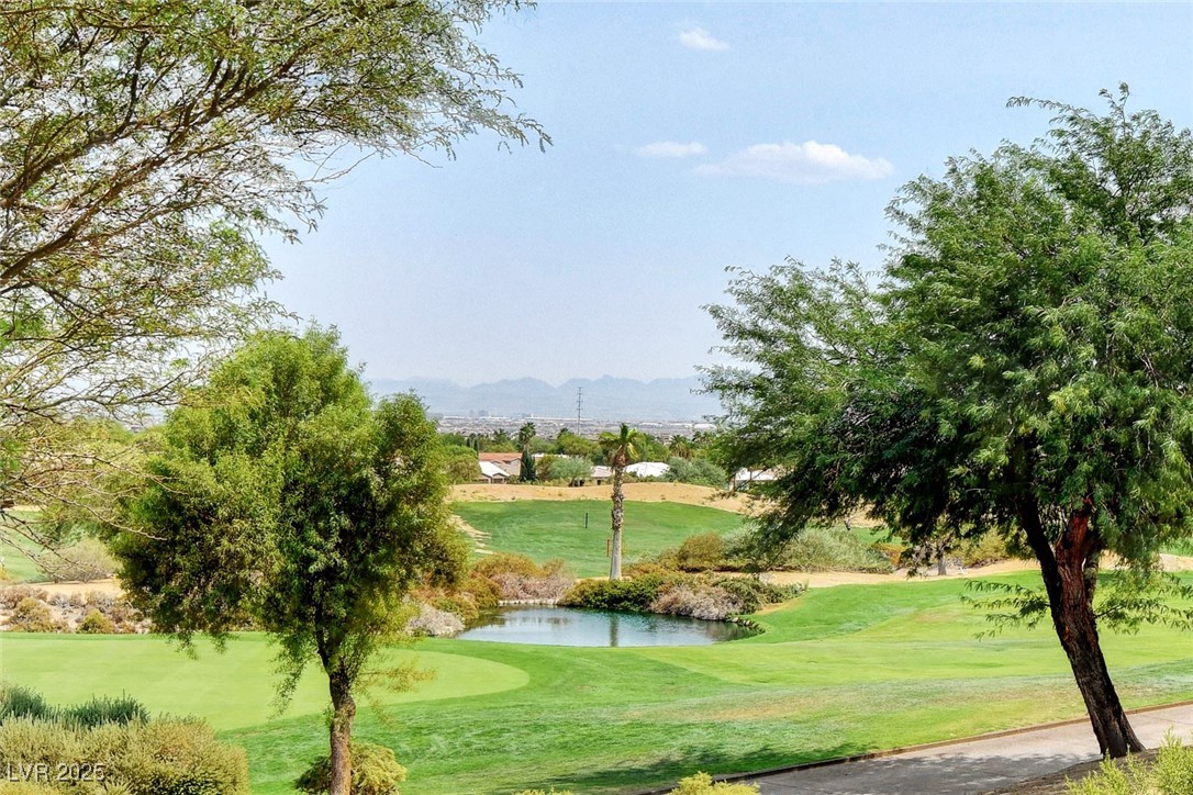 4636 Riva De Romanza Street Las Vegas, NV 89135 - Photo 30 of 41