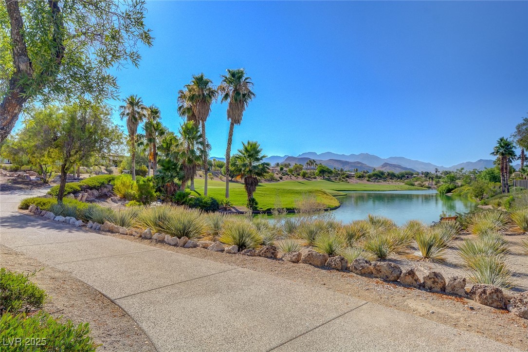 4636 Riva De Romanza Street Las Vegas, NV 89135 - Photo 31 of 41
