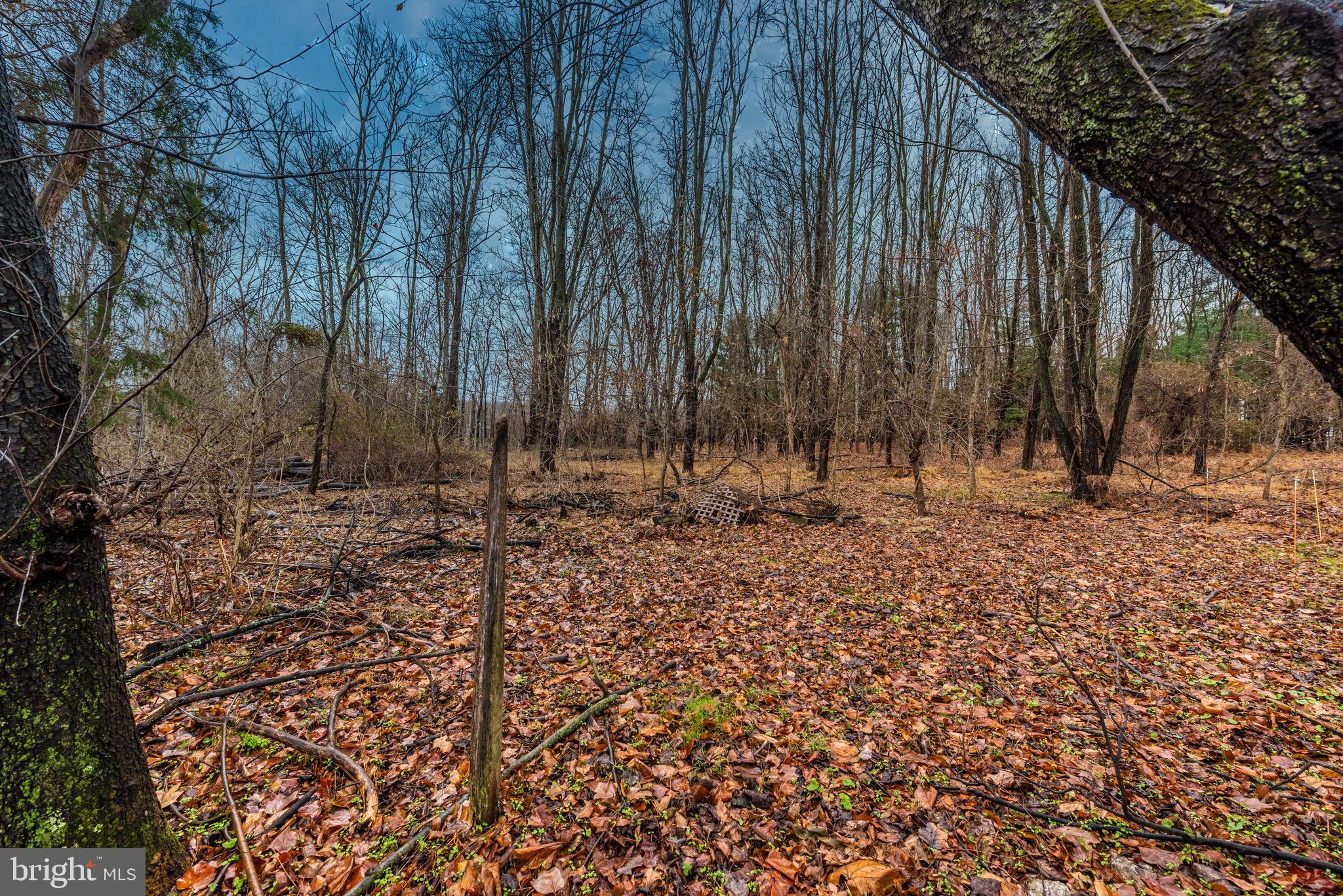 6934 Fox Chase Road New Market, MD 21774 - Photo 42 of 42 Gallery Image 42