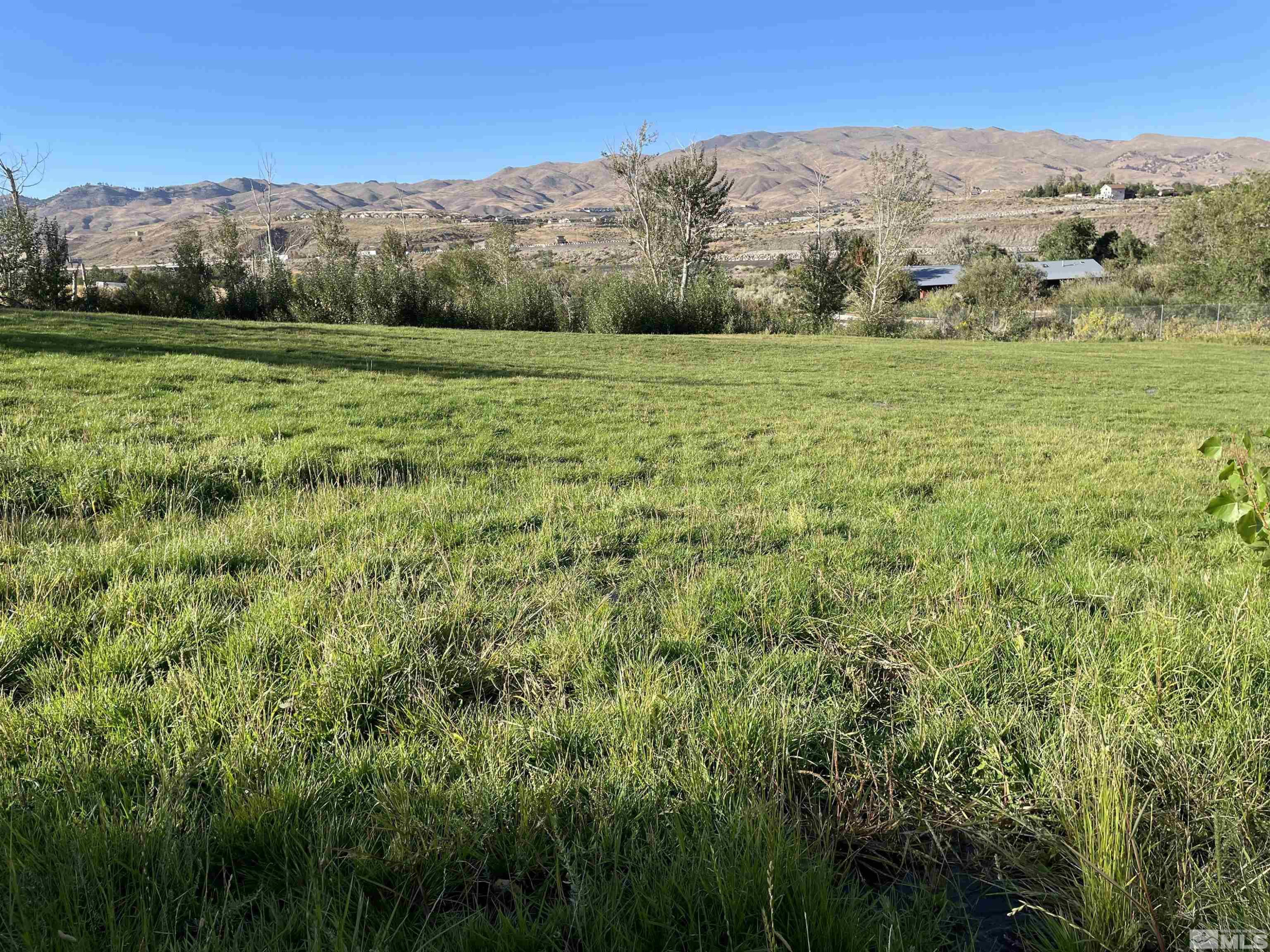 0 Mario Road Reno, NV 89523 - Photo 12 of 29 a view of outdoor space with mountain view