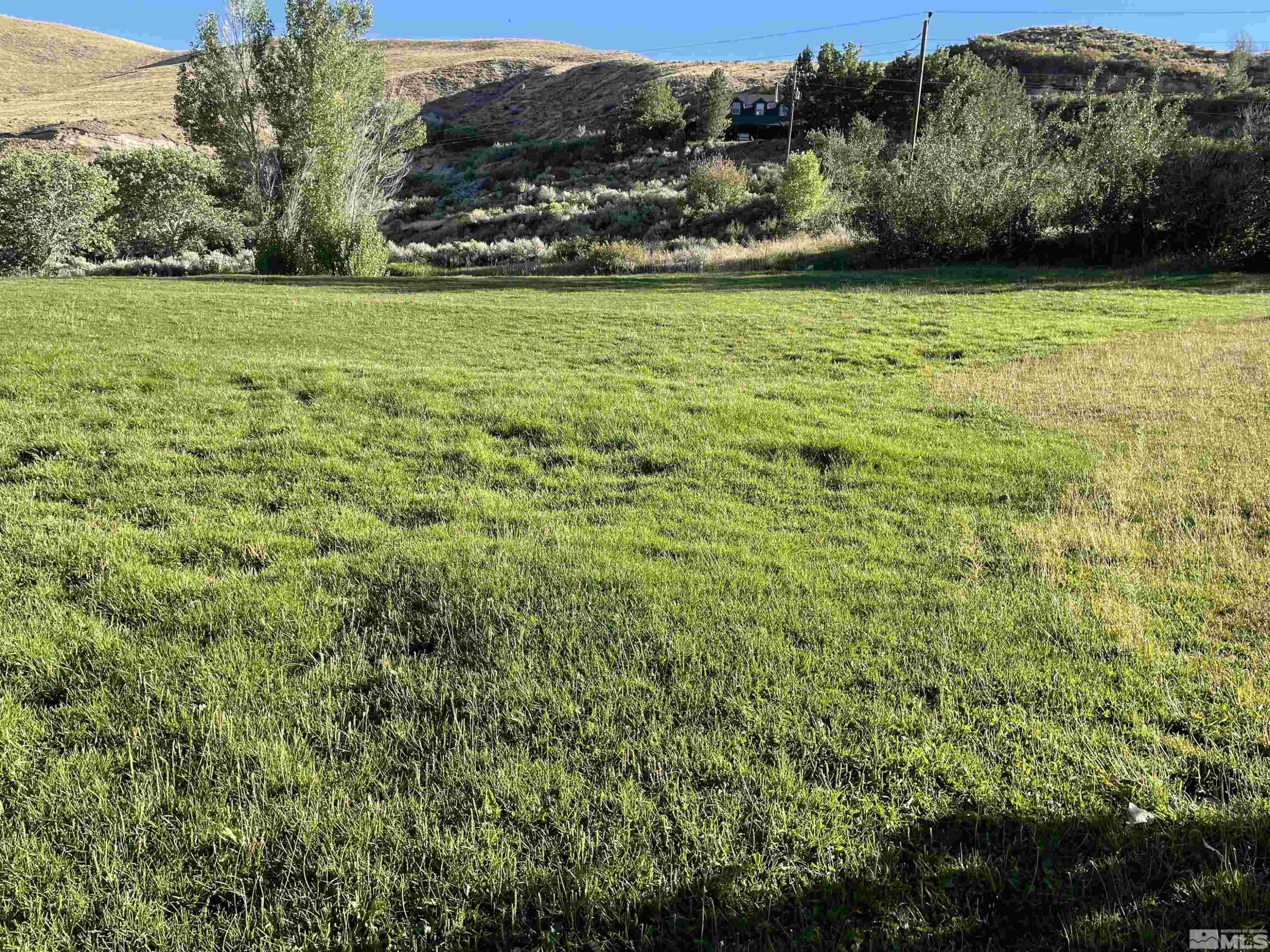 0 Mario Road Reno, NV 89523 - Photo 16 of 29 a view of yard with green space