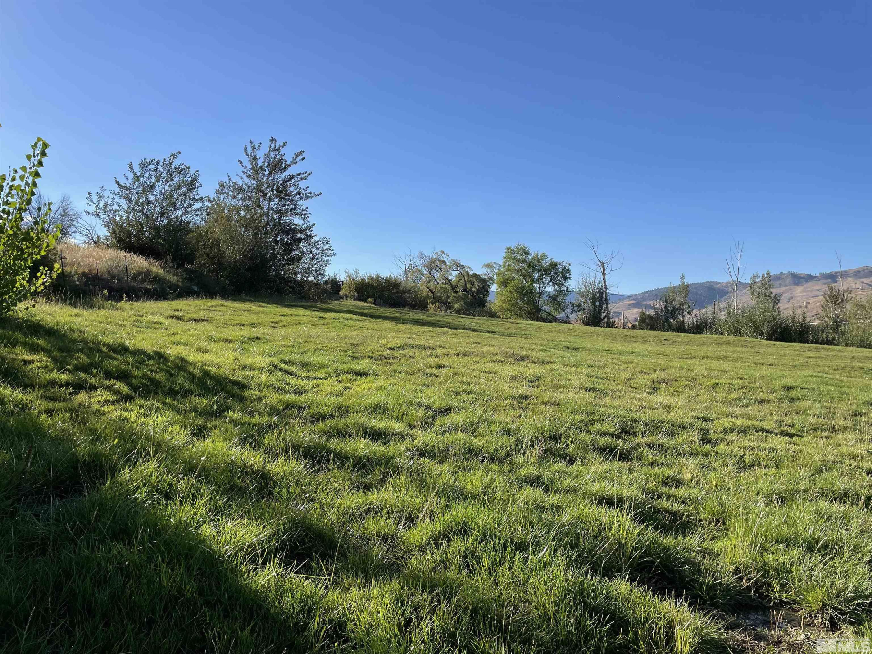 0 Mario Road Reno, NV 89523 - Photo 3 of 29 a view of a field with an trees
