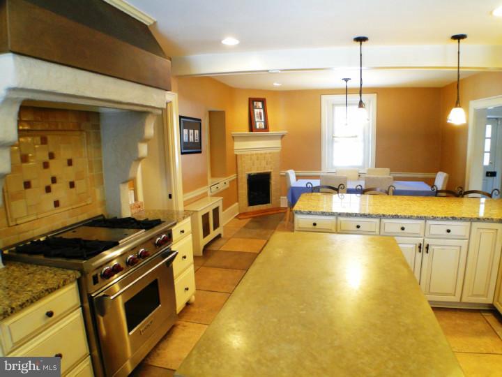 380 North Buck Road Downingtown, PA 19335 - Photo 8 of 24 Kitchen