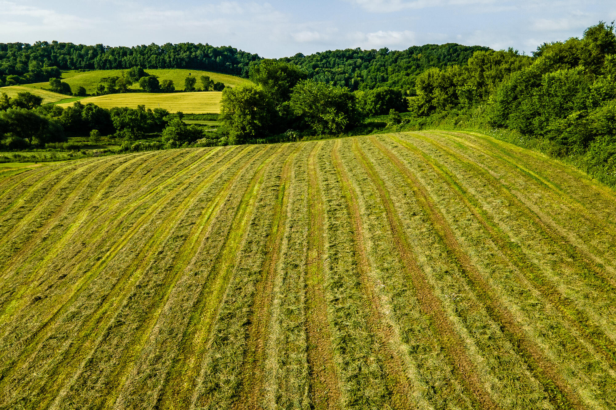 Lt0 Smyth Hollow Road Hillpoint, WI 53937 - Photo 10 of 45 Richland-County-WI-61-Acres-Land-For-Sal