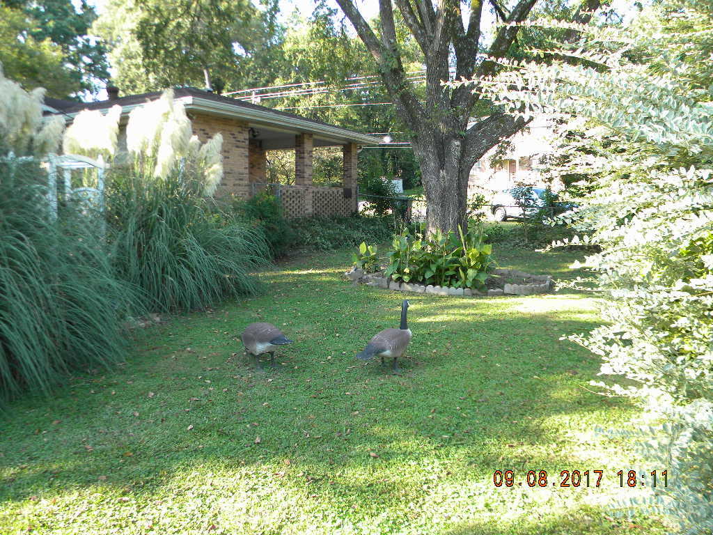 3610 Bennett Road Chattanooga, TN 37412 - Photo 11 of 25 DSCN7161