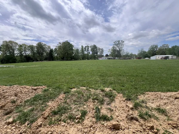 a view of a field of grass and trees