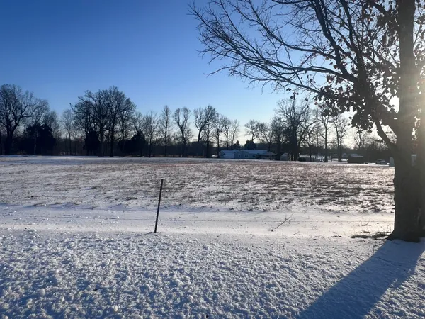 a view of a yard