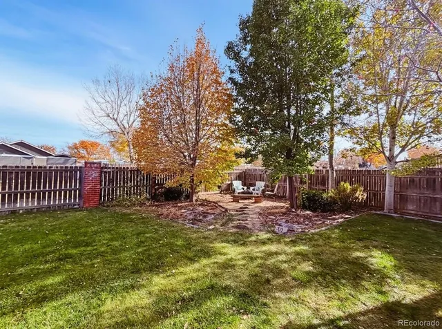 a view of a yard with plants and trees
