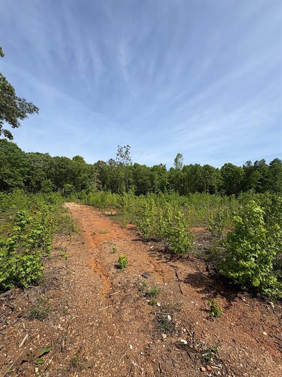 0 Roy Dean Road Buchanan, GA 30113 - Photo 15 of 24