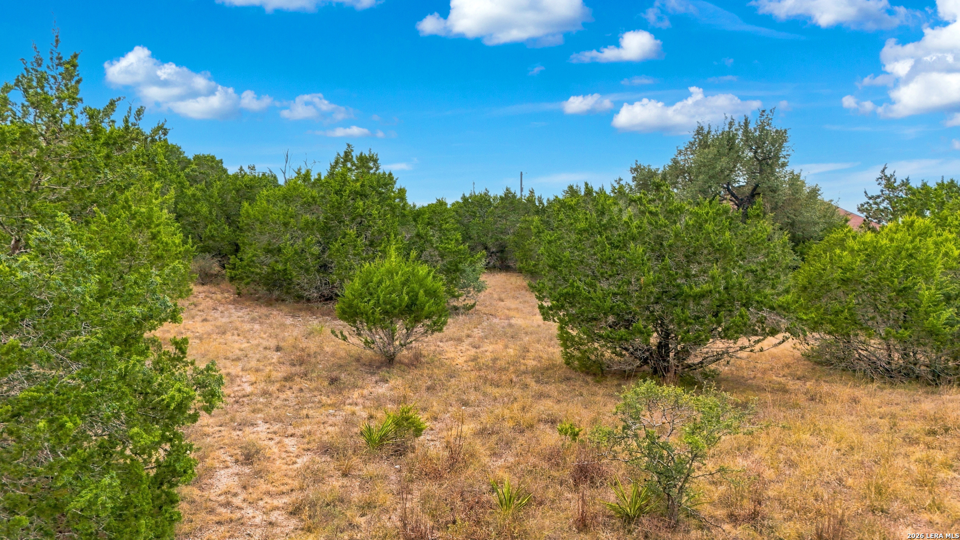336 Lily Street Spring Branch, TX 78070 - Photo 10 of 18 Gallery Image 10