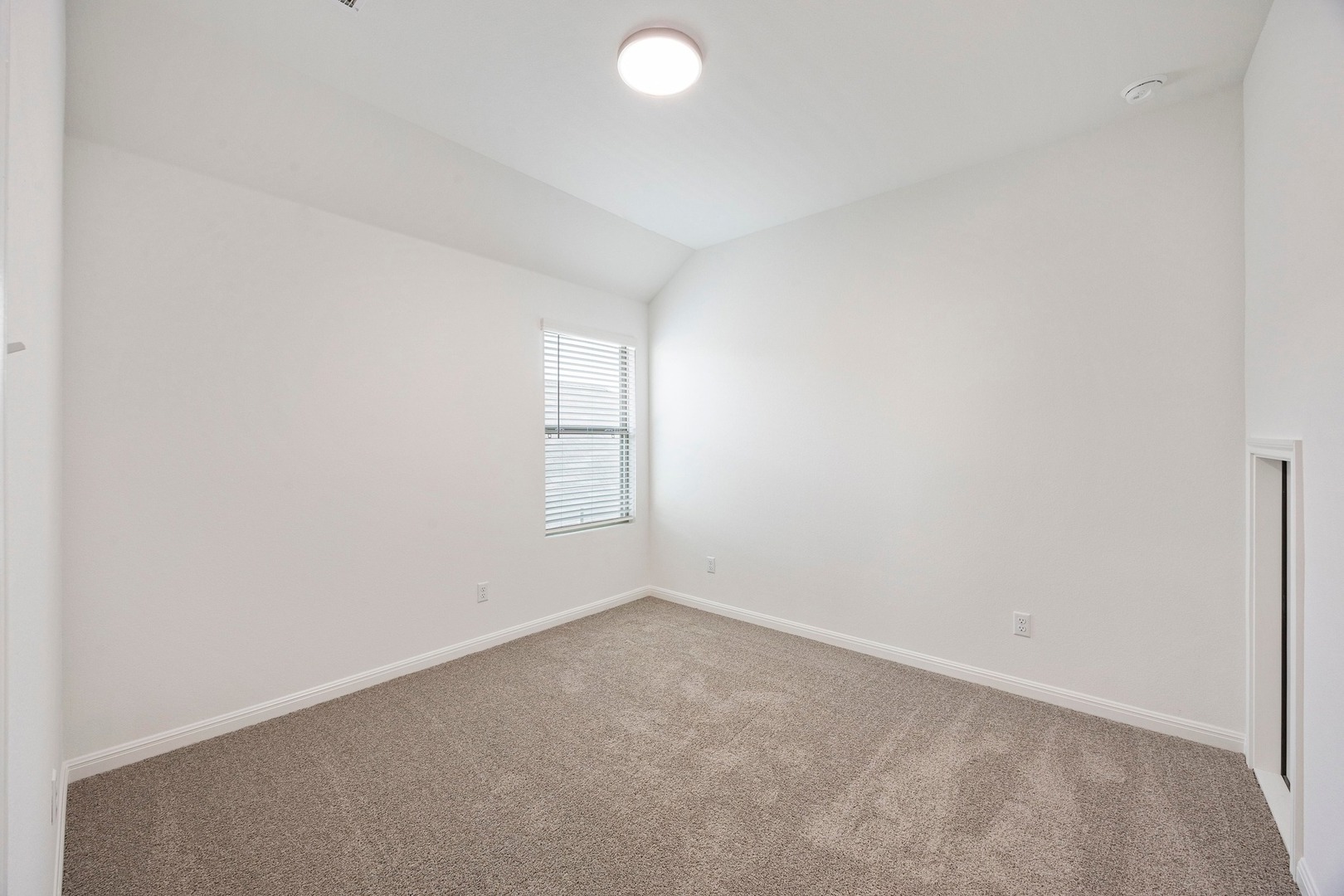 196 Hornet Street Elgin, TX 78621 - Photo 24 of 29