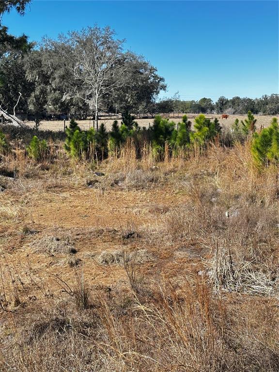 707 Road Webster Webster, FL 33597 - Photo 6 of 6 a view of lake with green valley