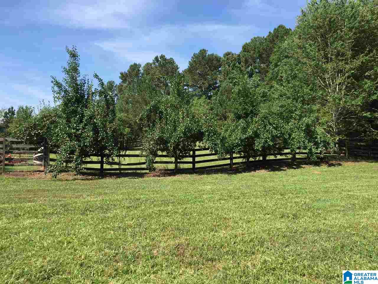 366 Parker Road Cropwell, AL 35054 - Photo 21 of 46