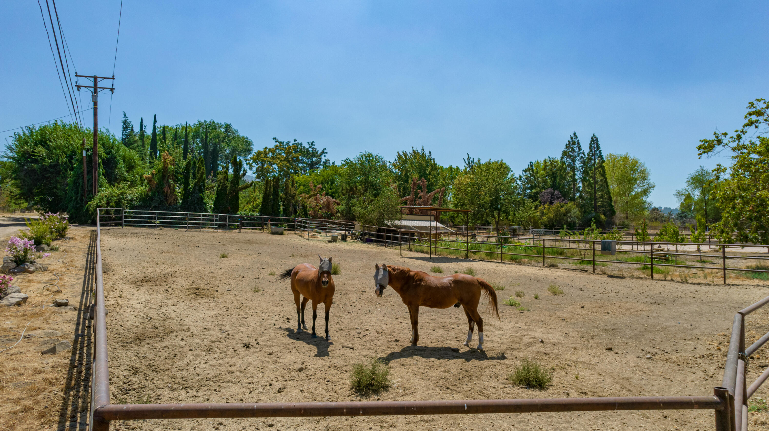 22362 Highline Road Tehachapi, CA 93561 - Photo 45 of 59 DJI_0006